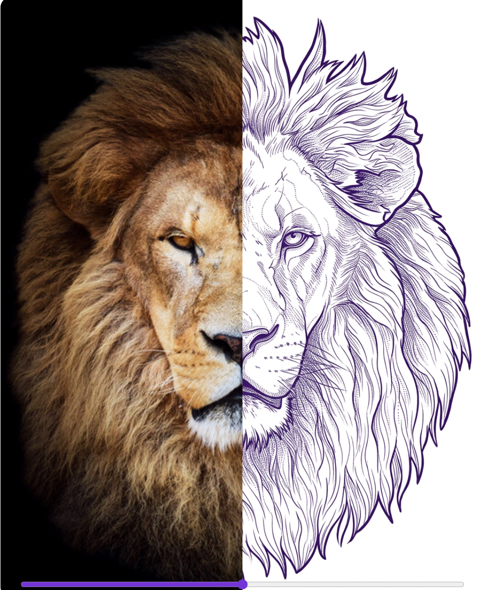 Lion photograph transformed into a purple linework tattoo stencil